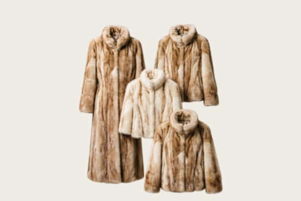 金溪县回收皮草衣服
